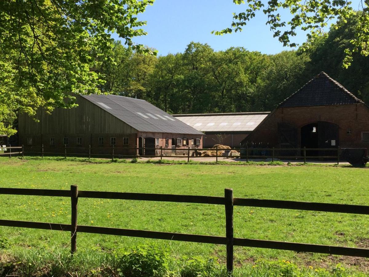 Boerderij De Enkhoeve Laag-Soeren ภายนอก รูปภาพ