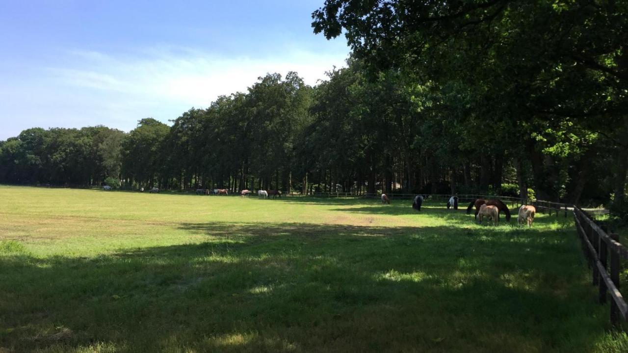 Boerderij De Enkhoeve Laag-Soeren ภายนอก รูปภาพ