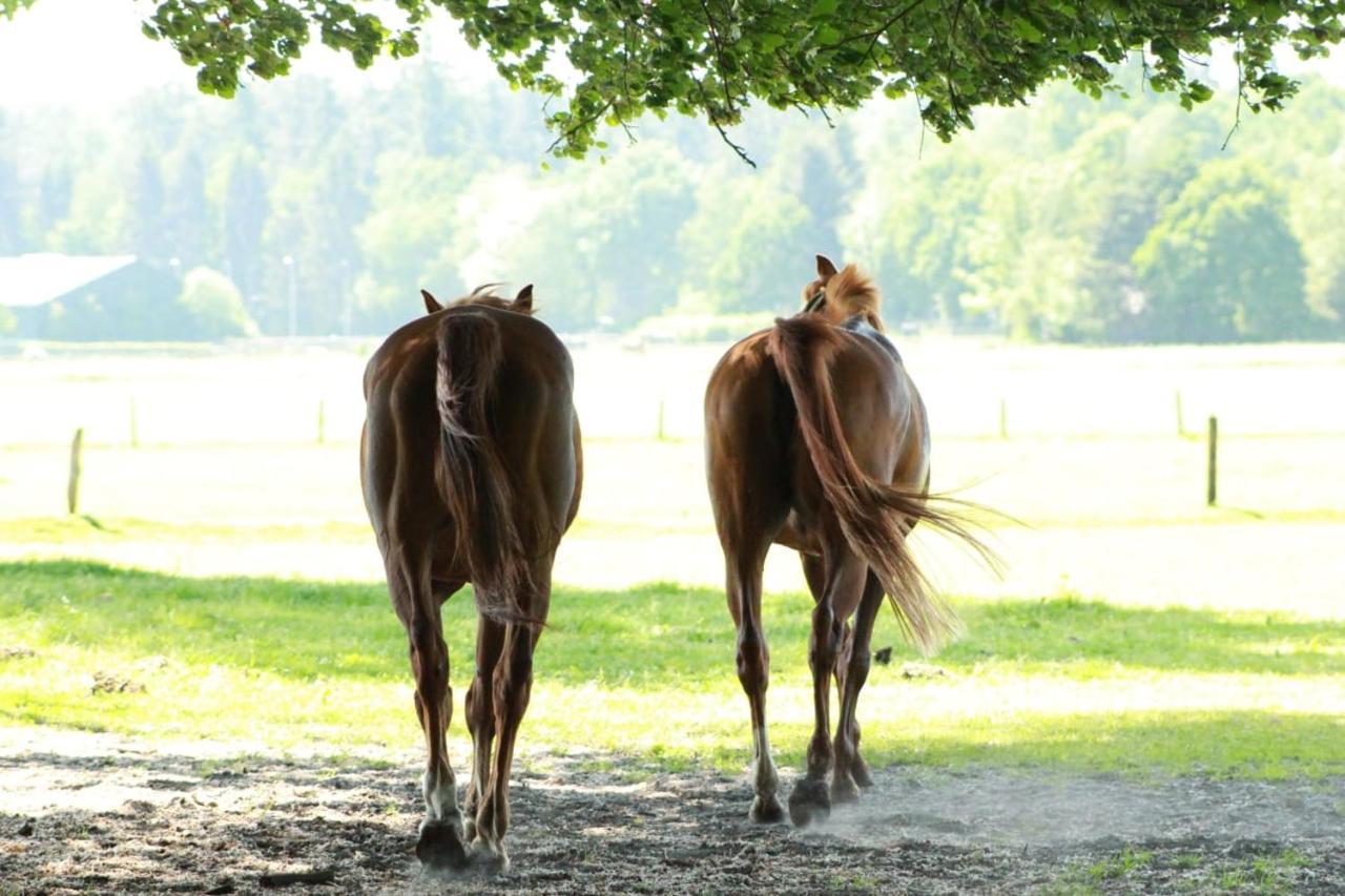 Boerderij De Enkhoeve Laag-Soeren ภายนอก รูปภาพ