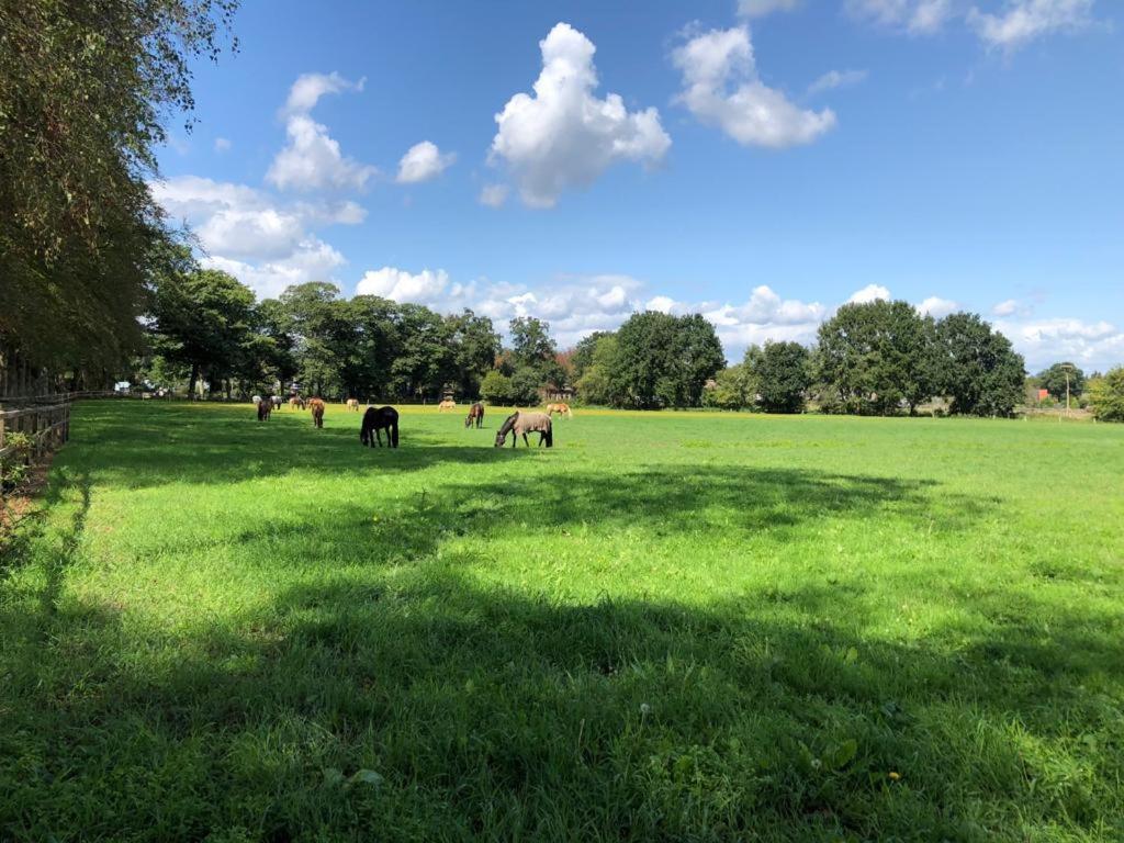 Boerderij De Enkhoeve Laag-Soeren ภายนอก รูปภาพ